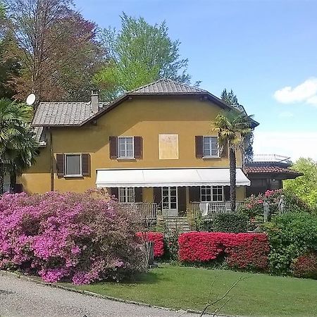 Il Gelsomino Bed & Breakfast Gignese Dış mekan fotoğraf