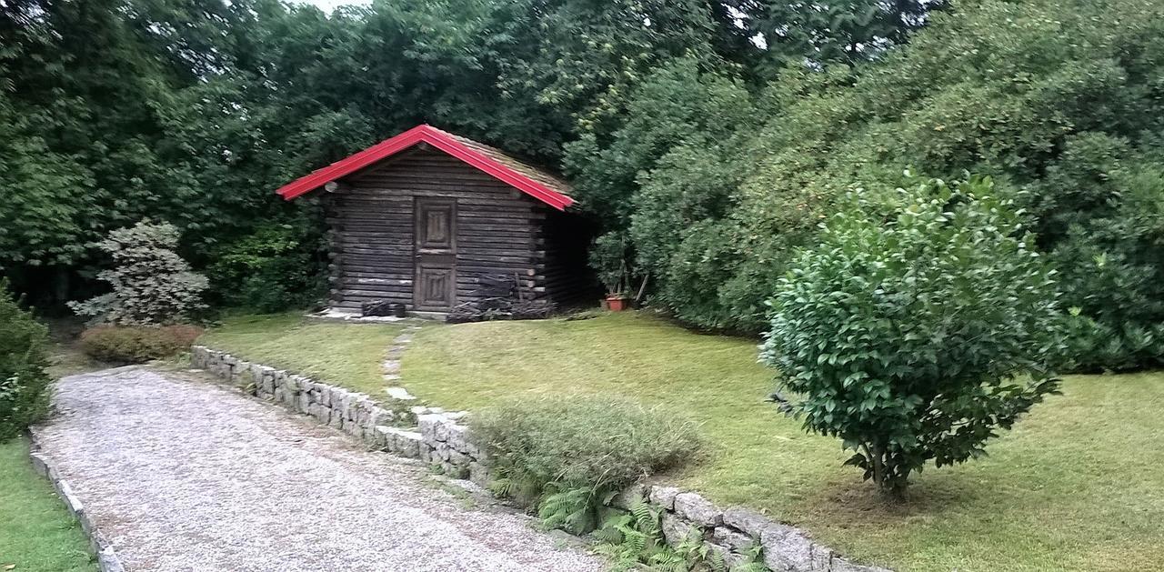 Il Gelsomino Bed & Breakfast Gignese Dış mekan fotoğraf